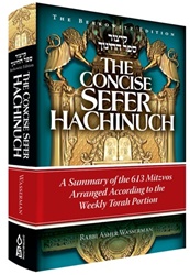 Concise Sefer HaChinuch  A Summary of the 613 Mitzvos