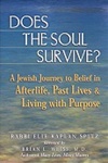 Does the Soul Survive? A Jewish Journey to Belief in Afterlife, Past Lives & Living With Purpose