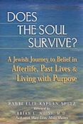 Does the Soul Survive? A Jewish Journey to Belief in Afterlife, Past Lives & Living With Purpose