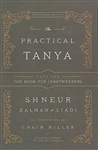 The Practical Tanya: The Book for Inbetweeers