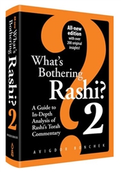 What's Bothering Rashi? 2