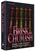 Brisk on Chumash: Insights on the Parashah from Brisk to Jerusalem