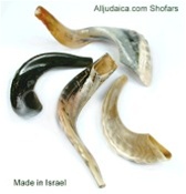 Shofar - Simple