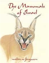 The Mammals of Israel