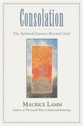 Consolation: The Spiritual Journey Beyond Grief