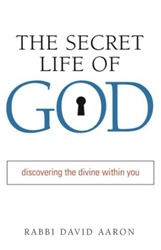 The Secret Life of God : Discovering the Divine Within You