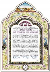 Sheerah Ketubah - Simcha Back