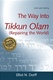 Way Into Tikkun Olam (Repairing the World)