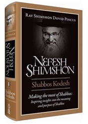 Nefesh Shimshon: Making the Most of Shabbos