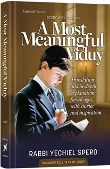 A Most Meaningful Viduy: Translation and in-depth explanation for all ages, with stories and inspiration