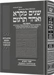 Sh'nayim Mikra V'Echad Targum - Vayikra: The Torah: With Each Verse Repeated, Targum Onkelos , A Translation Based on the Targum, Rashi Text and Summaries.
