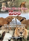 Take Me to the Zoo: Lions, elephants and snakes in the Midrash and nature