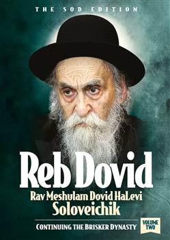Reb Dovid, Volume 2: Rav Meshulam Dovid HaLevi Soloveichik - Continuing the Brisker dynasty