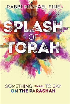 Splash Of Torah: Something Small To Say On The Parashah