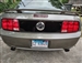 Mustang rear decklid blackout panel