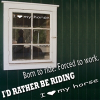 Horse Talk Expressions - Vinyl Decals