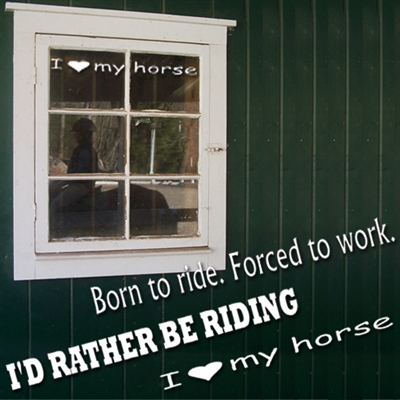 Horse Talk Expressions - Vinyl Decals