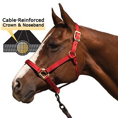 Blocker Halters - Cable Reinforced Crown & Noseband