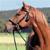 Barefoot Amber Bridle 2 in 1