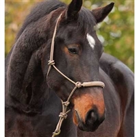 Barefoot Rawhide Bosal Nosebands