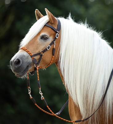 Barefoot Rawhide Bosal Nosebands