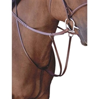 Ainsley Running Martingales