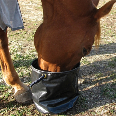 Cashel Collapsible Water Pails