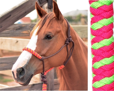 Classic Equine Two tone Rope Halter with lead