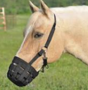 Cashel Grazing Muzzle Halter