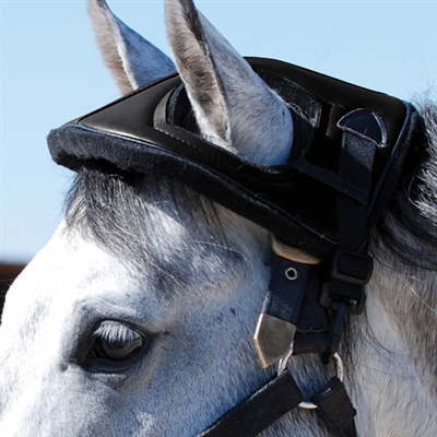 Cashel Horse Helmets