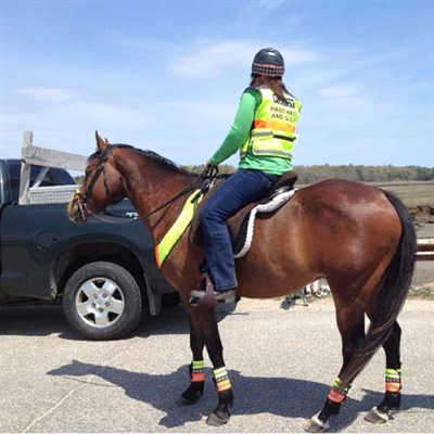 Safe Riders Reflective Leg Gear