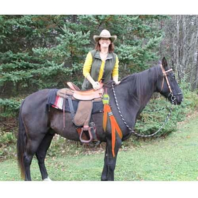 Safe Riders Gear Trail Mounting Aid