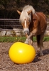 Barefoot Training Ball 75 cm