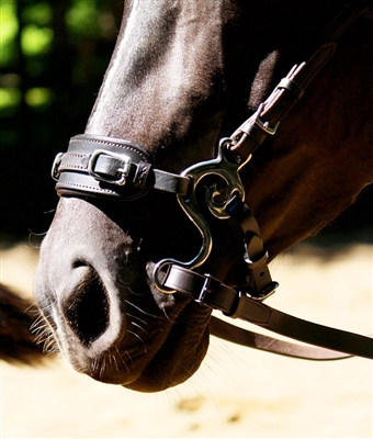 Zaldi Hackamore Bit B14 With Leather noseband