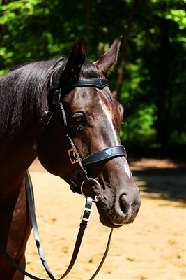 Zaldi Menorquina Baroque Bridle with Hearts