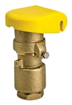 Brass Quick Coupler