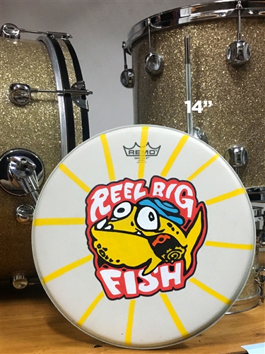 Hand-painted drum head - 14" Silly Fish