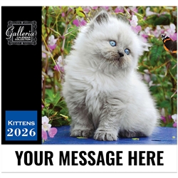 Kittens
