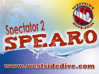 spectator to spearo spearfishing class