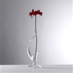 Teign Valley Glass Single Stem Vase