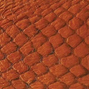 Fish Leather - Citrus Gloss