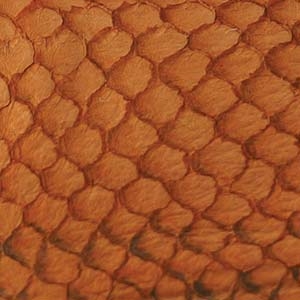 Fish Leather - Citrus Suede