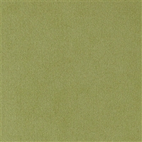 Ultrasuede - Fern - 8x8