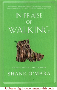 In  Praise of Walking