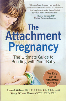 The Attachment Pregnancy