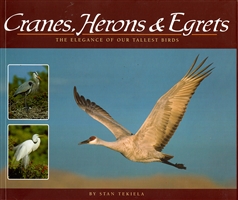 Cranes, Herons & Egrets