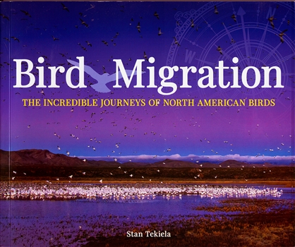 Bird Migration