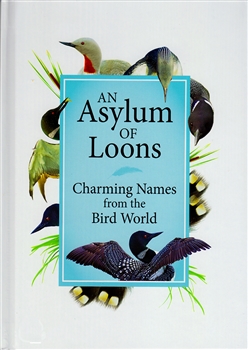 An Asylum of Loons