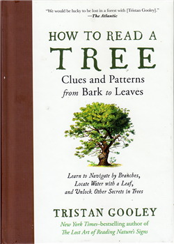 How to Read a Tree, Clues and Patterns from Barks to Leaves