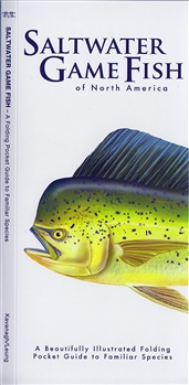 Saltwater Game Fish of North America